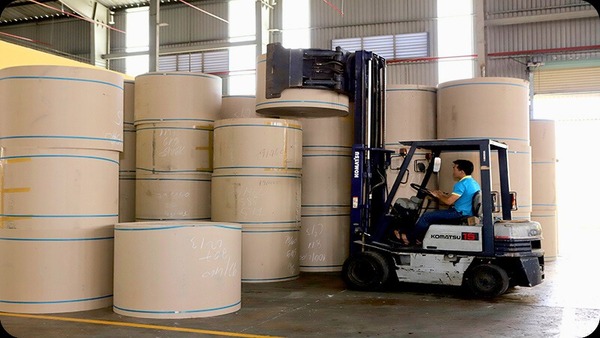 Giấy bìa cứng - chipboard tấm