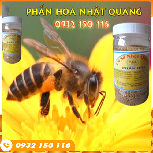 Phấn hoa Nhật Quang - Hộ Kinh Doanh Trại Ong Nhật Quang