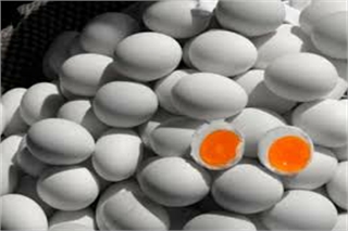 Trứng - Thực Phẩm Phương Mai - Công Ty Môi Trường Công Nghiệp Phương Mai - (TNHH)