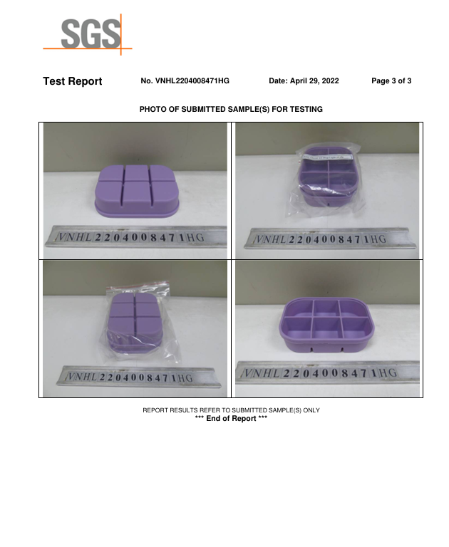 Kết Quả Kiểm Nghiệm SGS – Khay 6 Ngăn - Silicone C.E.S Việt Nam - Công Ty Cổ Phần Giải Pháp Kỹ Thuật C.E.S Việt Nam