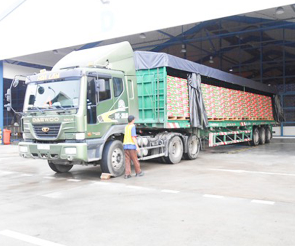 Vận tải đường bộ - Vận Tải Hoa Lâm - Công Ty TNHH Thương Mại Dịch Vụ Vận Tải Hoa Lâm