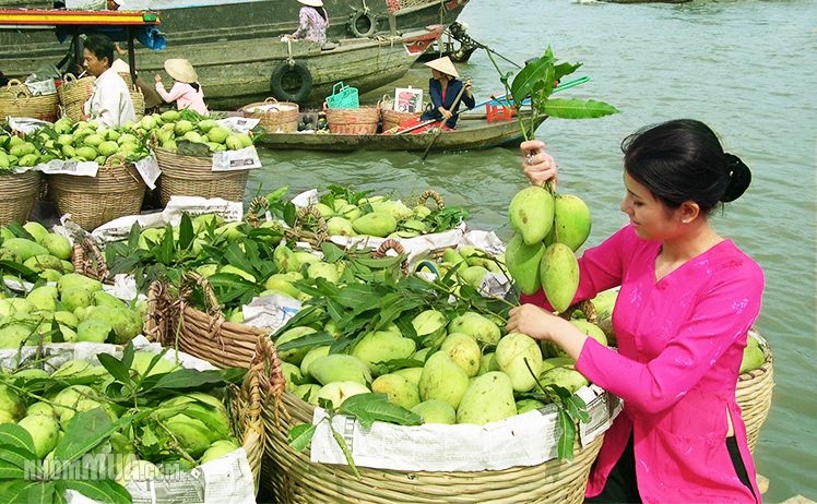 Công Ty TNHH Du Lịch Và DV Bầu Trời Mới