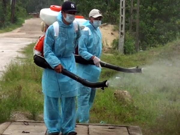 Dịch vụ diệt muỗi - Công Ty TNHH Thương Mại Dịch Vụ Trừ Mối Thành Công