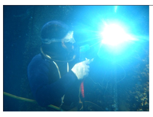 Lặn hàn dưới nước - Công Ty TNHH Lặn Hoàng Đạt