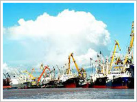 Cái Mép Port