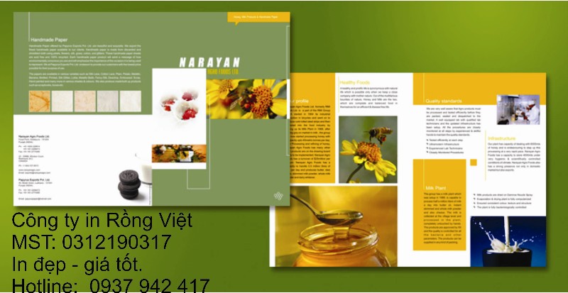 Brochure - Công Ty TNHH Một Thành Viên Thiết Kế Đồ Họa Và In ấn Rồng Việt