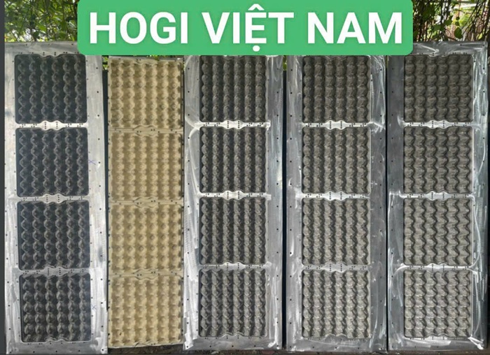 Khuôn bột giấy, khuôn định hình bột giấy  - Khuôn Giấy Định Hình HOGI Việt Nam - Công Ty TNHH Công Nghệ HOGI Việt Nam