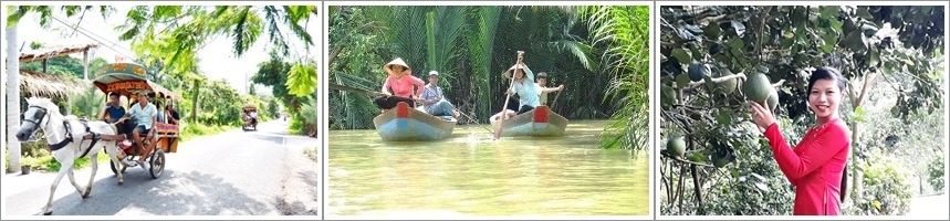 Tour Mỹ Tho - Bến Tre
