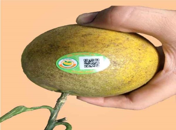 Tem truy xuất nguồn gốc - In Tem Nhãn Trần Nguyễn Hà - Công Ty Cổ Phần Trần Nguyễn Hà