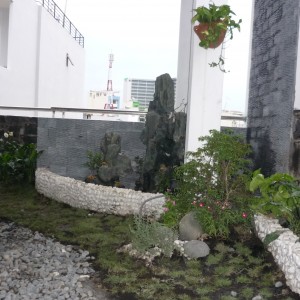Công Ty CP Ngoại Thất Xanh Và Xinh