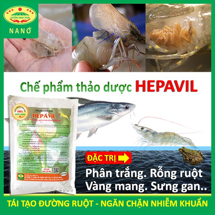 Chế phẩm thảo dược Hepavil - Công Ty TNHH Thương Mại Trung Việt