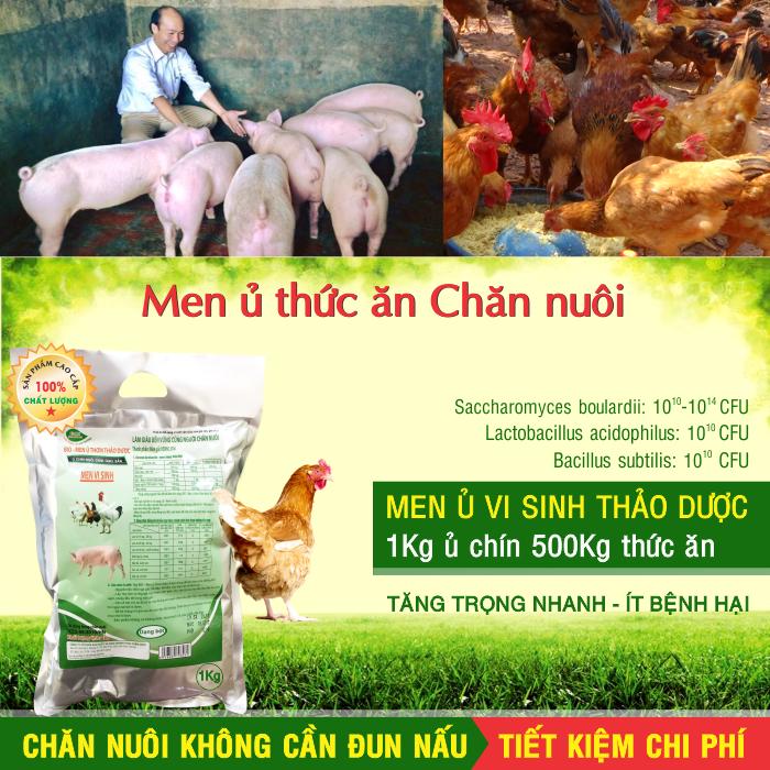 Men ủ thức ăn chăn nuôi - Công Ty TNHH Thương Mại Trung Việt