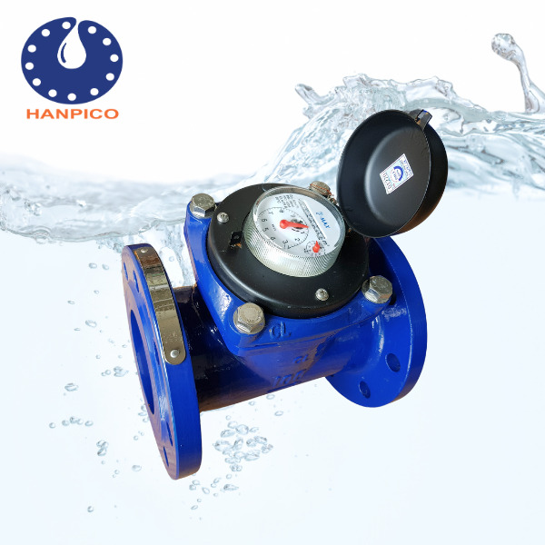 Đồng hồ đo nước mặt bích cấp B hiệu P-MAX - Vật Tư Ngành Nước HANPICO - Công Ty TNHH Thiết Bị Và Vật Tư Ngành Nước Hà Nội