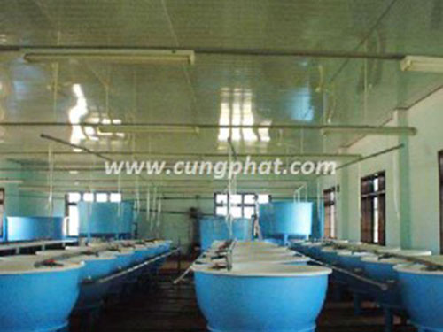 Bể nuôi trồng thủy sản Composite FRP - Công Ty TNHH Cung Phát