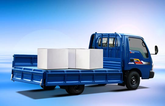 Công Ty TNHH Vận Tải Thương Mại Dịch Vụ Trường An Phát