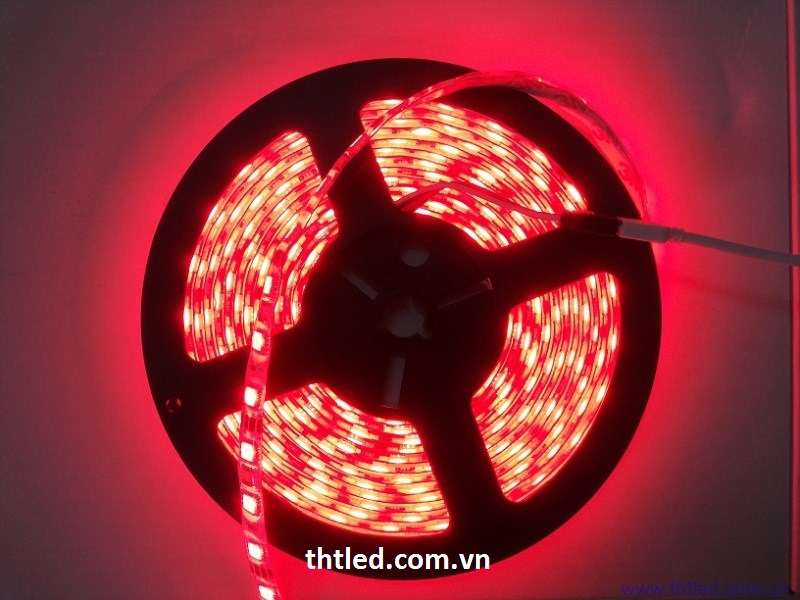 Đèn led dây - Đèn LED Tam Hợp Thịnh - Công Ty TNHH Sản Xuất Thương Mại Tam Hợp Thịnh