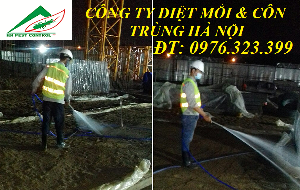 Phòng chống mối công trình xây dựng mới - Dịch Vụ Diệt Côn Trùng Hà Nội - Công Ty TNHH Diệt Mối Và Côn Trùng Hà Nội