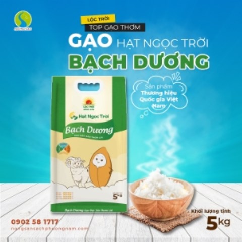 Gạo hạt ngọc trời Bạch Dương - Gạo Phương Nam - Công Ty Cổ Phần Lương Thực Phương Nam