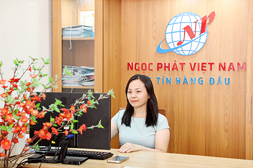 Hình ảnh công ty Xe Nâng Ngọc Phát