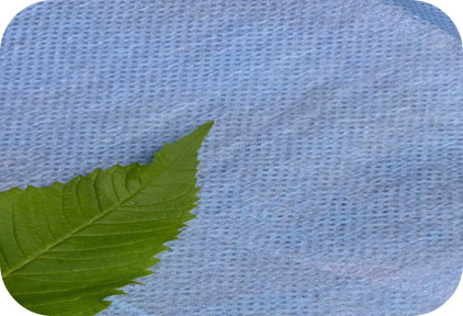 Vải Non-Woven