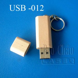 USB - Công Ty TNHH Bảo Châu Laser