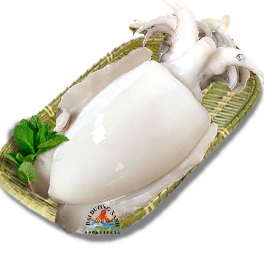 Mực nang khổng lồ