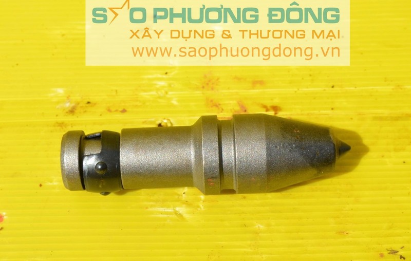 Răng quả nhót C31HD