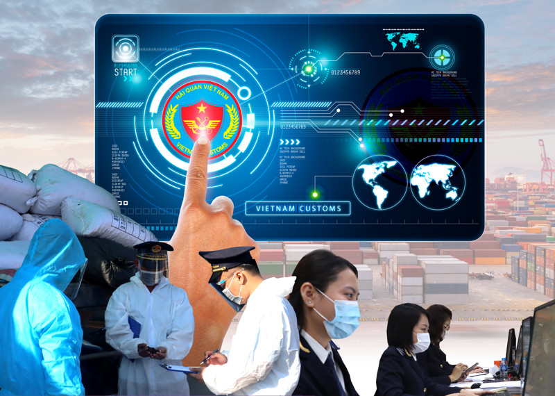 Kiểm tra chuyên ngành