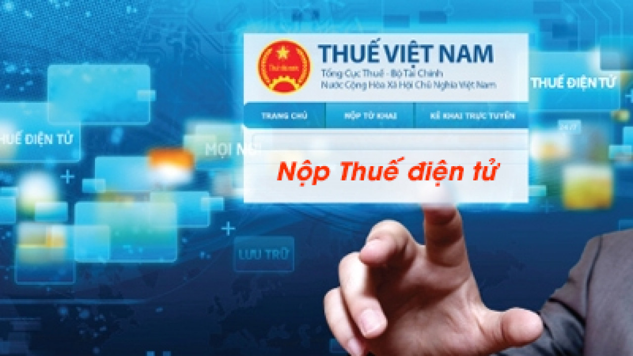 Tư vấn xuất nhập khẩu