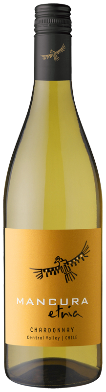 Công Ty Cổ Phần Vin Corp