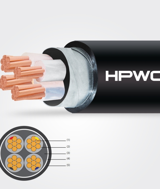 Cáp điện lực hạ thế CXV/DSTA - 0.6/1KV - Dây và Cáp Điện Hoàng Phát - Công Ty TNHH Đầu Tư Phát Triển Thương Mại Dây và Cáp Điện Hoàng Phát (HPWC)