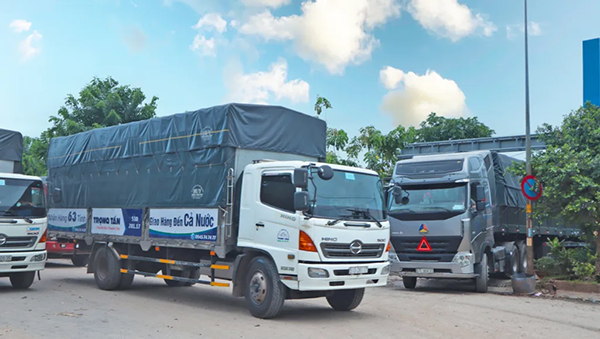 Xe tải 8 tấn thùng ngắn - Vận Tải Trọng Tấn - Công Ty TNHH Dịch Vụ Vận Tải Trọng Tấn