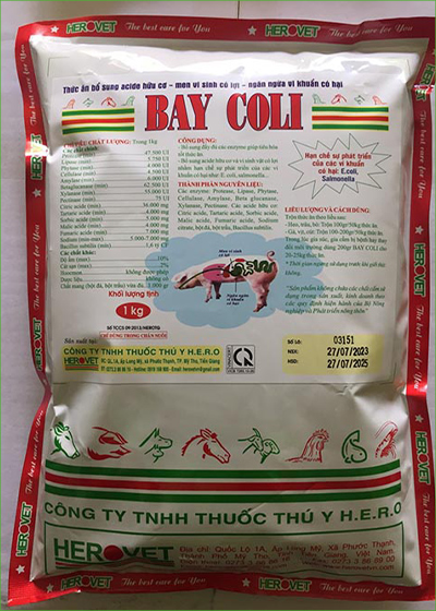 Bay Coli