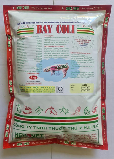 Bay Coli
