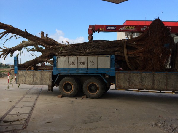 Xe Cẩu Hằng Nguyên – Công Ty TNHH Hằng Nguyên