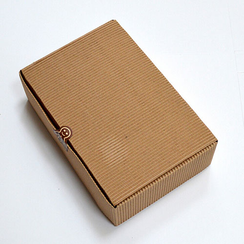 Bao bì carton 2 lớp - Bao Bì Carton Bắc Trường Sơn - Công Ty TNHH Đầu Tư Và Thương Mại Bắc Trường Sơn
