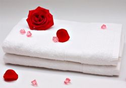 Công Ty TNHH Việt Nghĩa