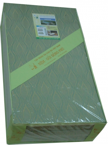Công Ty Cổ Phần Cao Su Kỹ Thuật Đồng Phú (DoruFoam)