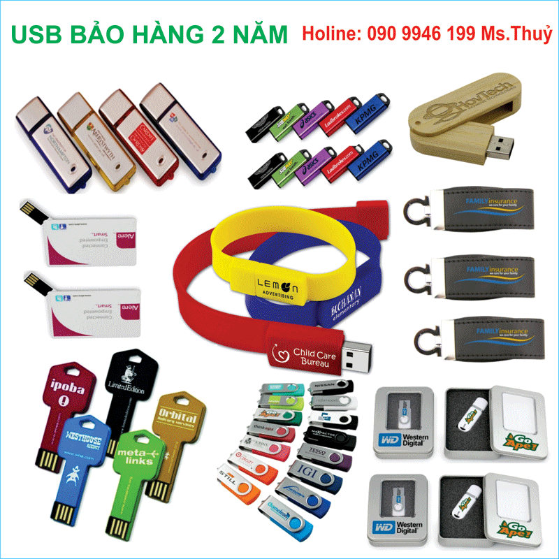 USB - Quà Tặng Phú Mỹ - Công Ty TNHH Sản Xuất Quà Tặng Phú Mỹ