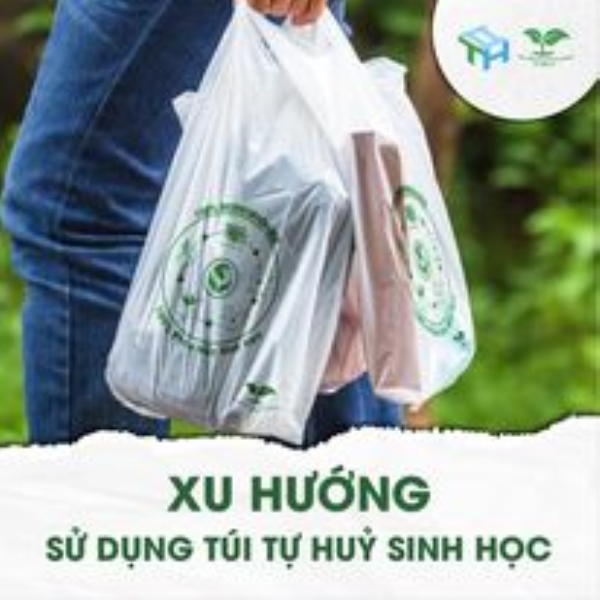 Túi siêu thị - Bao Bì Nhựa Tổng Hợp II - Công Ty TNHH Sản Xuất Thương Mại Tổng Hợp II
