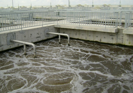 Hệ thống xử lý nước thủy sản - Công Ty TNHH Dịch Vụ Phân Tích Kỹ Thuật Môi Trường Công Nghệ Mới     ( NEWTECHCO.LTD)
