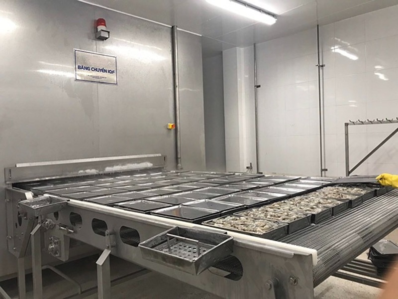 Băng chuyền cấp đông bằng IQF - Điện Lạnh Công Nghiệp Nam Phú Thái - Công Ty Cổ Phần Công Nghiệp Lạnh Nam Phú Thái