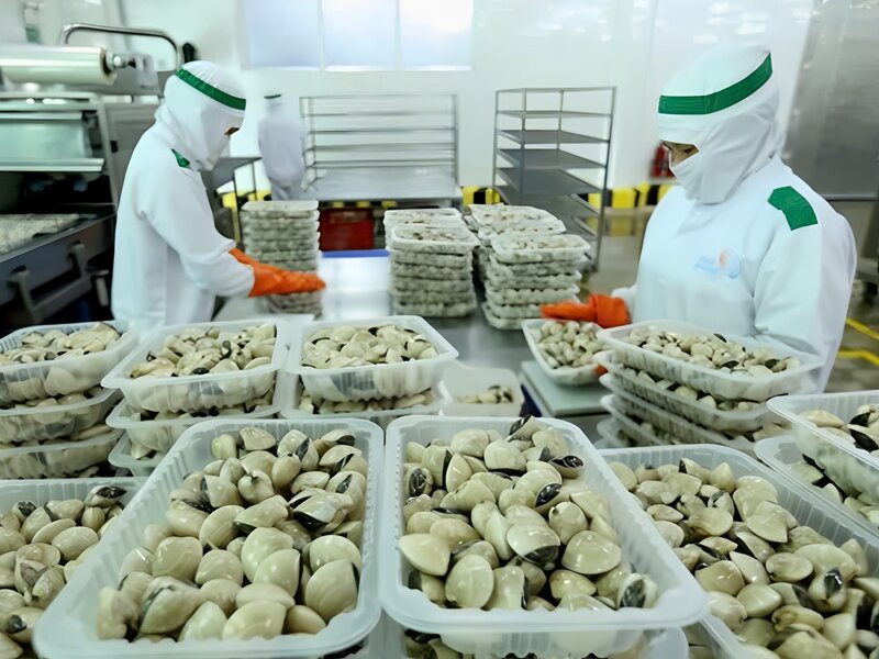 Kho lạnh bảo quản thủy sản - Điện Lạnh Công Nghiệp Nam Phú Thái - Công Ty Cổ Phần Công Nghiệp Lạnh Nam Phú Thái