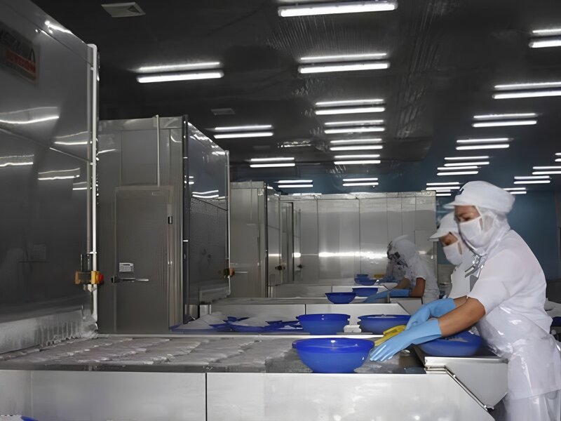 Kho lạnh cấp đông - Điện Lạnh Công Nghiệp Nam Phú Thái - Công Ty Cổ Phần Công Nghiệp Lạnh Nam Phú Thái
