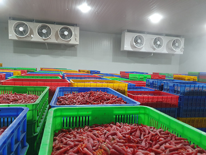 Kho lạnh nông sản - Điện Lạnh Công Nghiệp Nam Phú Thái - Công Ty Cổ Phần Công Nghiệp Lạnh Nam Phú Thái