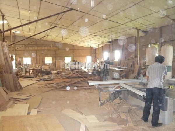 Xưởng gỗ - Gỗ Xẻ Trường Gia Phúc - Công Ty TNHH Một Thành Viên Trường Gia Phúc