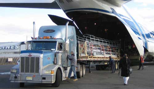 Dịch Vụ Win Logistics - Công Ty TNHH Win Logistics