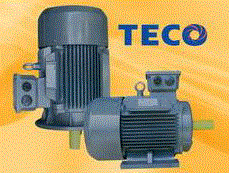 Motor Teco