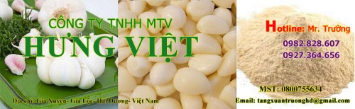 Thực Phẩm Hưng Việt