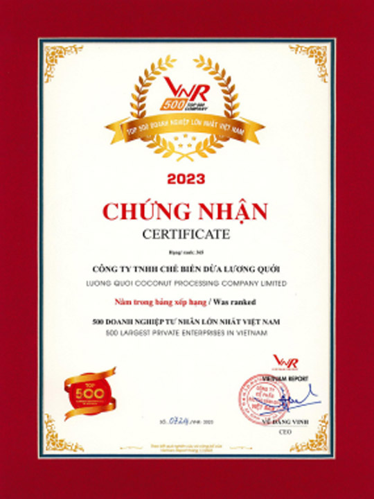 Giải thưởng Top 500 Doanh Nghiệp Tư Nhân Lớn Nhất Việt Nam